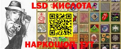 PSILOCYBIN Брянск