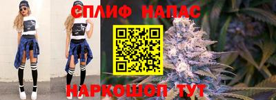 PSILOCYBIN Брянск
