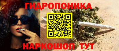 jwh Братск