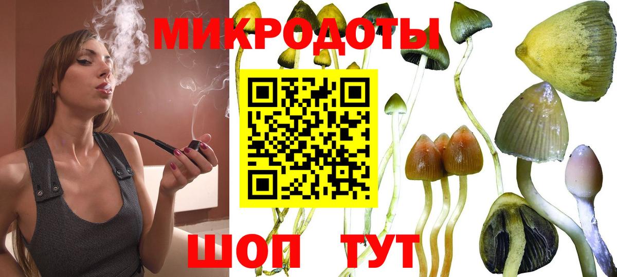 Ачинск  Псилоцибиновые грибы Psilocybine cubensis  Вход с VPN  Галлюциногенные грибы Cubensis 